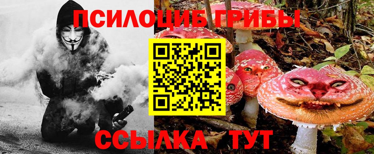Псилоцибиновые грибы Psilocybine cubensis Шали