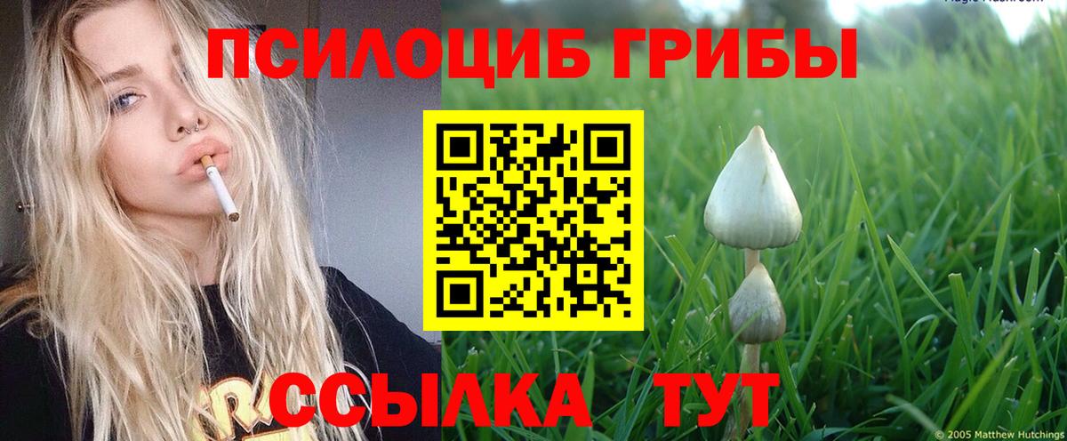 Шали  Галлюциногенные грибы GOLDEN TEACHER  Вход с VPN 